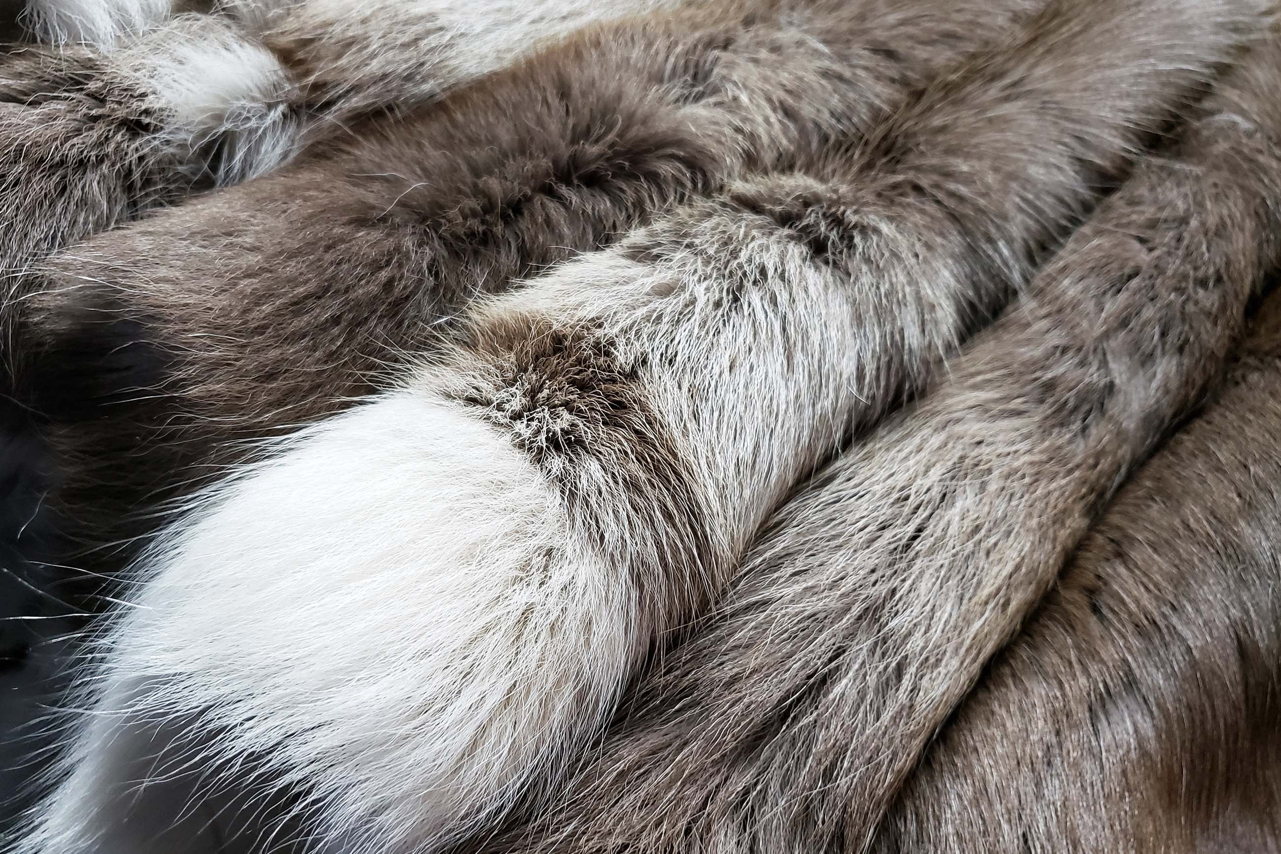 Reindeer Hides
