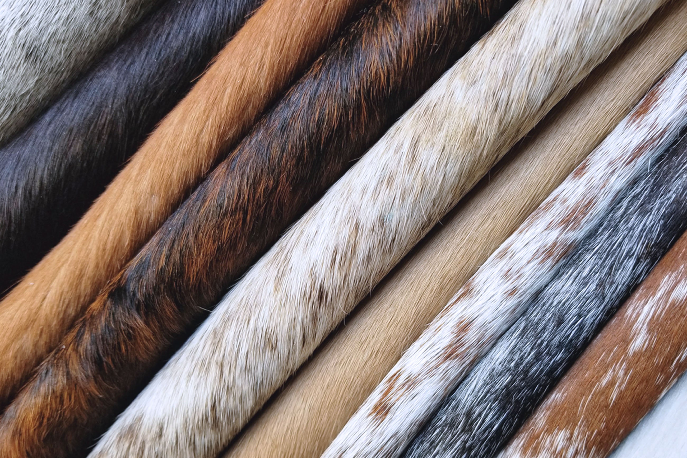 Natural Cowhides