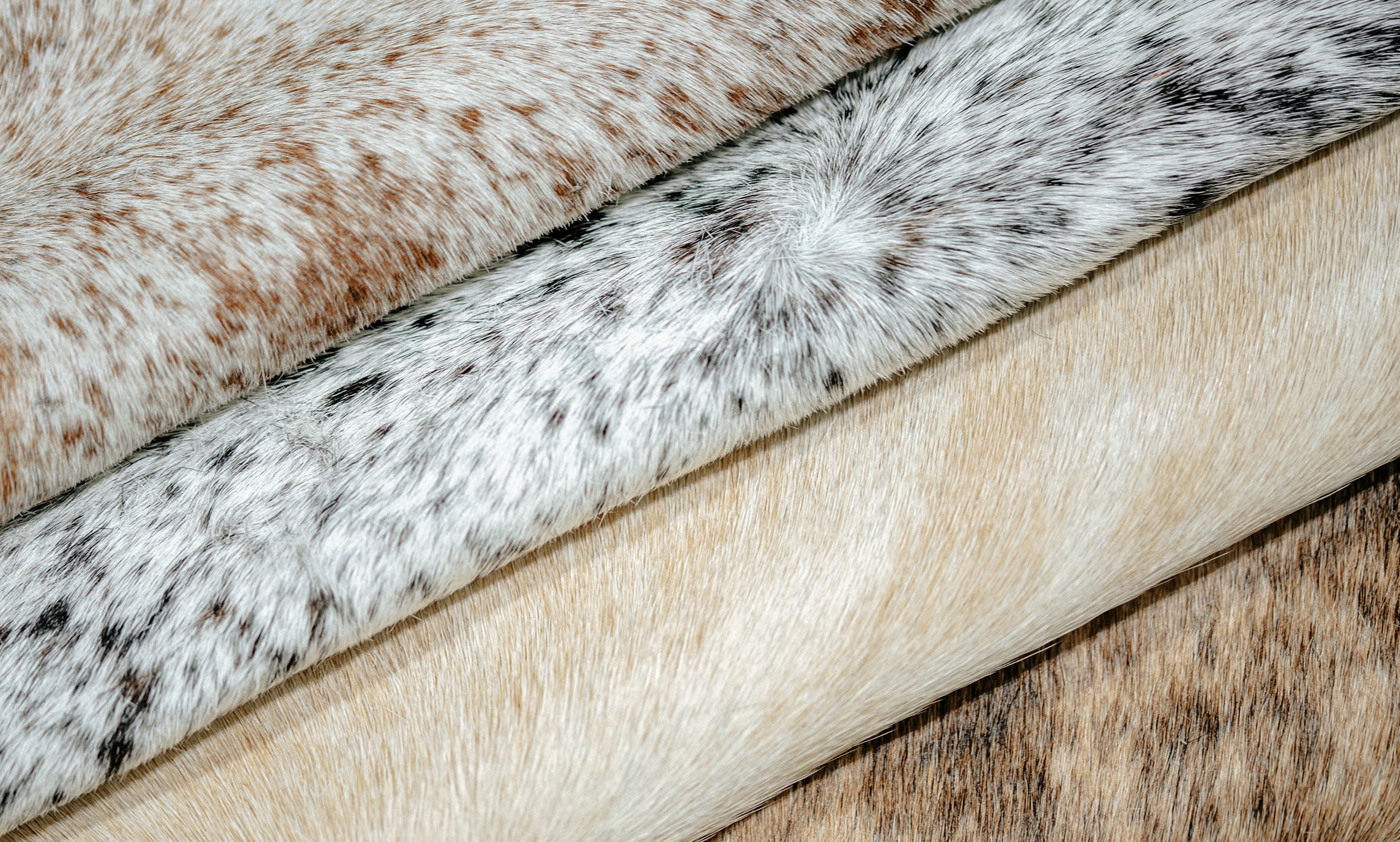 Brazil Light Tones Mix