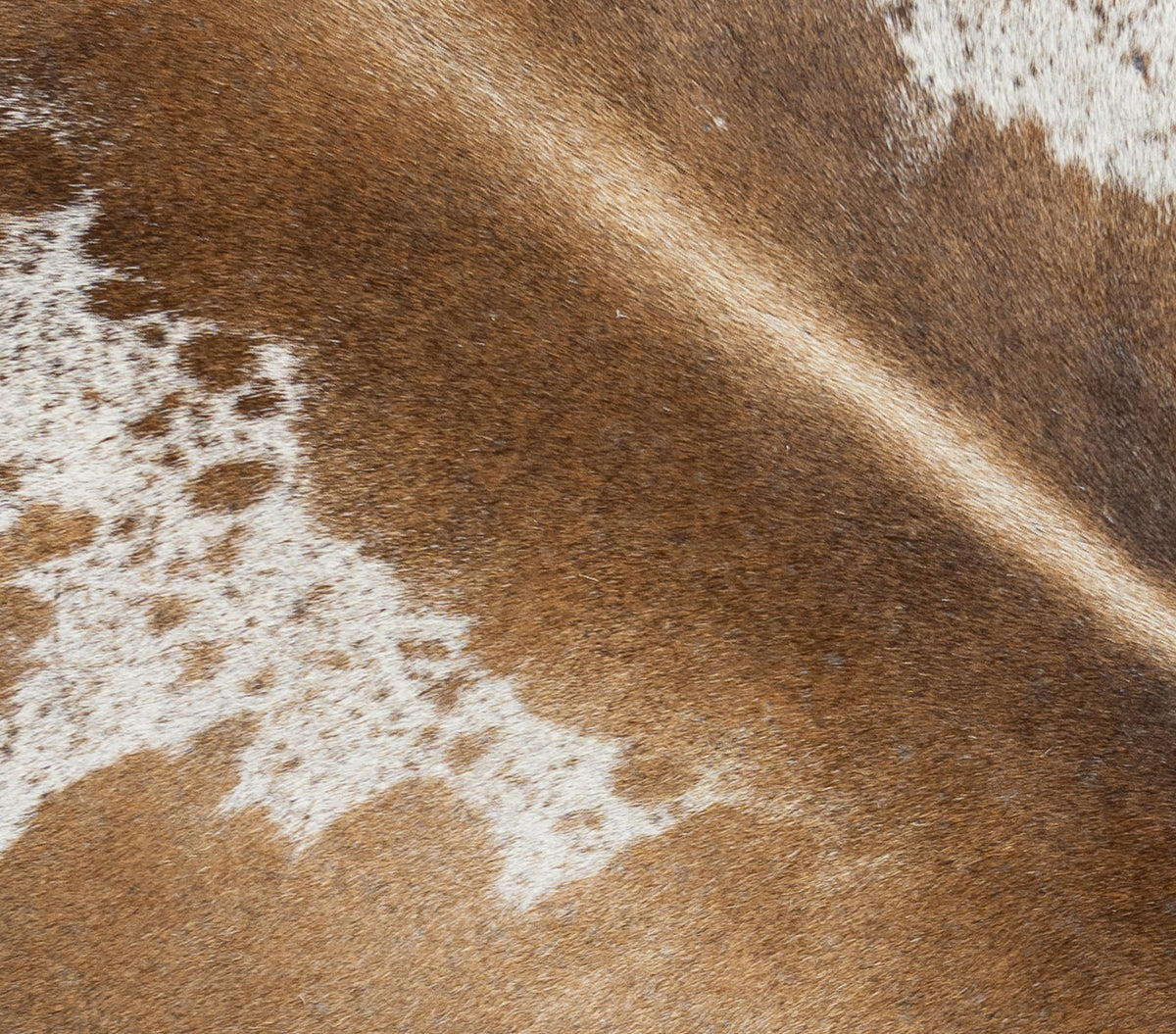 Mini Cowhide Rug BRAZIL MINI COWHIDE RUG - EXOTIC TONES – Sunshine Cowhides