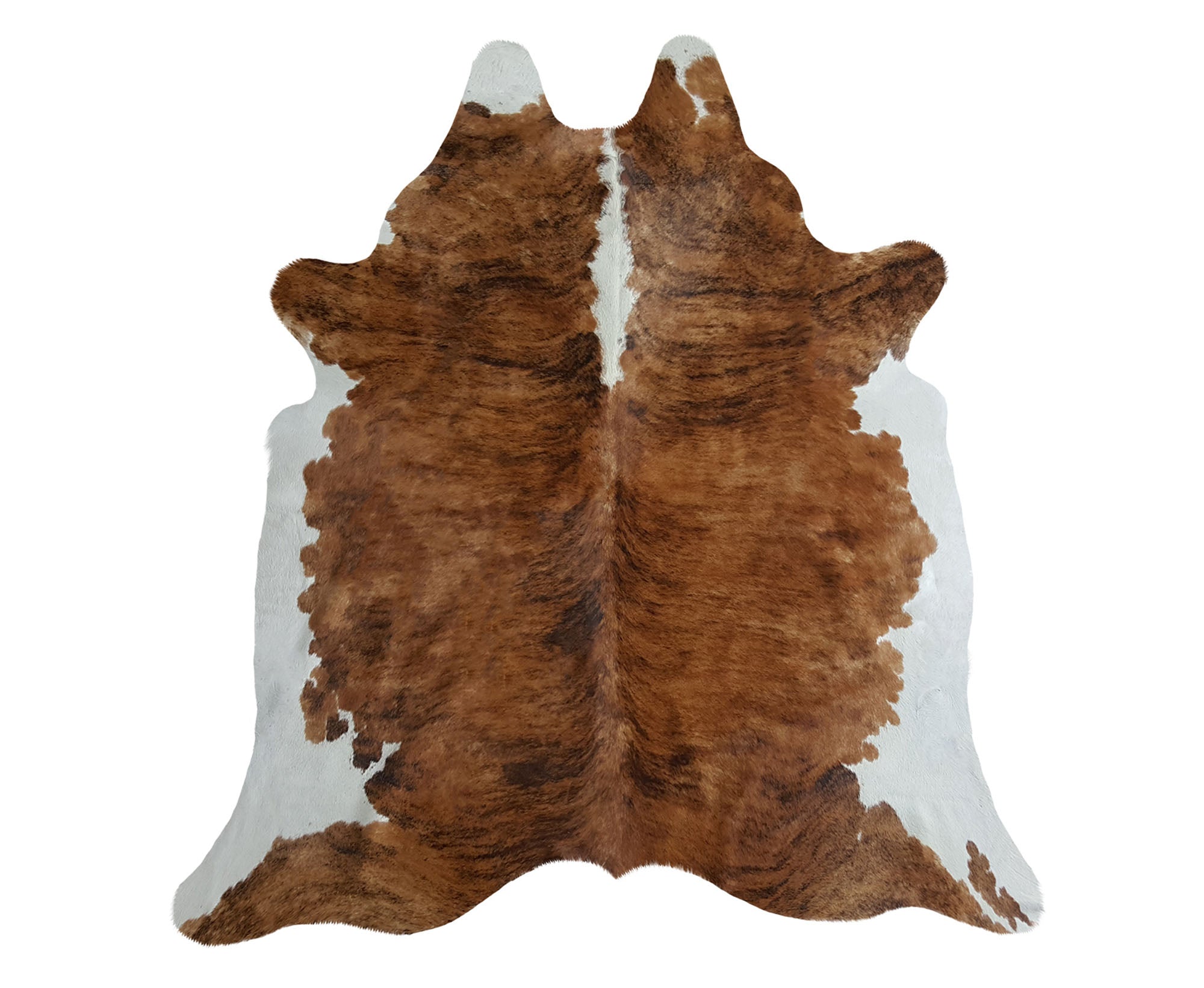 Sunshine Cowhides Sunshine Cowhides